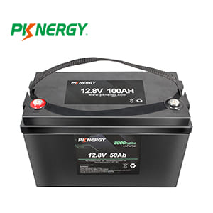 Prezzo di fabbrica PKNERGY Batteria 12V 50Ah LiFePo4 ...