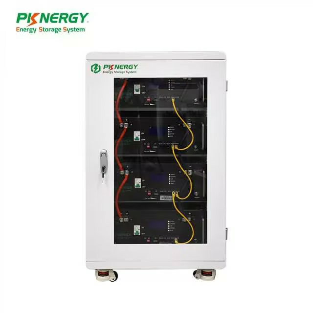 PKNERGY New Design 4U 48V 100Ah 5Kwh Rack Mounted Lifepo4 Battery