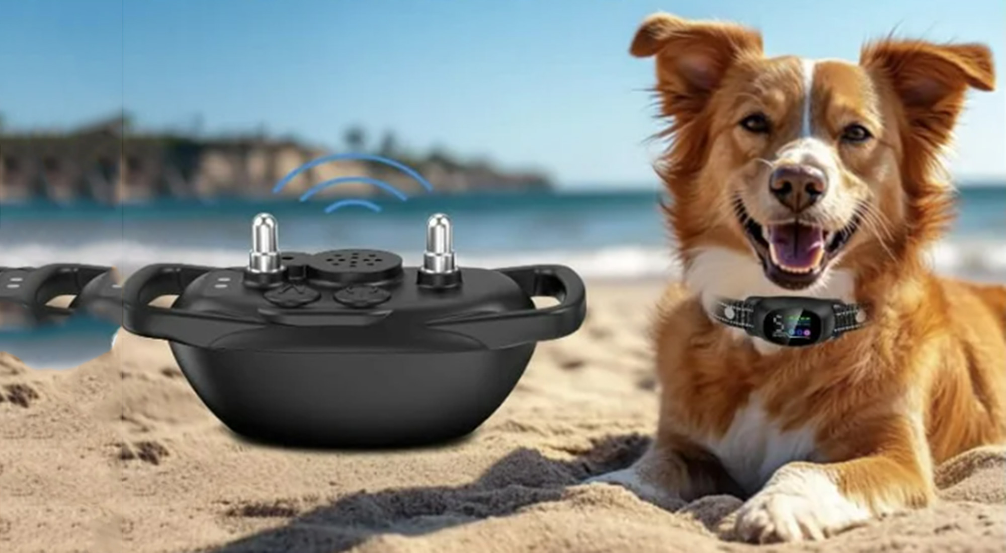 Custom Lithium Battery Solutions for Electronic Dog Training Collars & Vibration Alert Devices