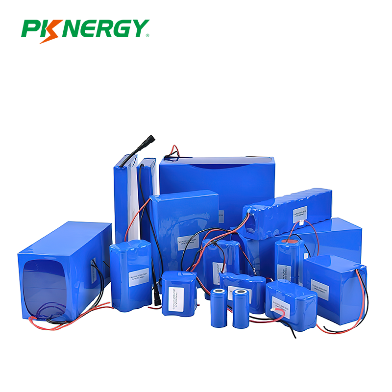 LiFePO4 Battery Pack Customized