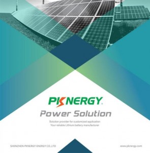 Energia Co. de Shenzhen Pknergy, Ltd